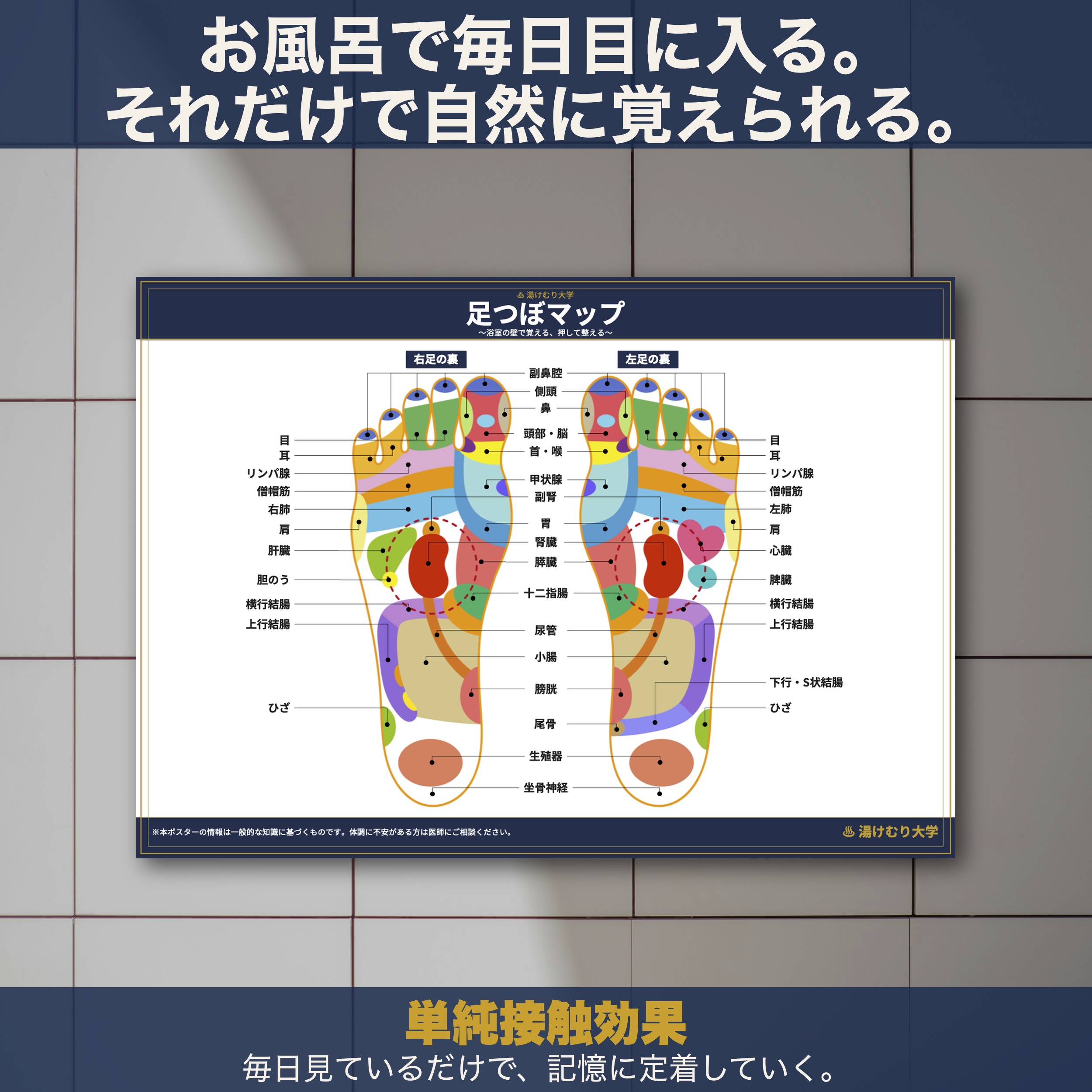 お風呂の壁に貼られた足つぼマッサージのお風呂ポスター。タイル壁に水で貼り付けて使用している様子