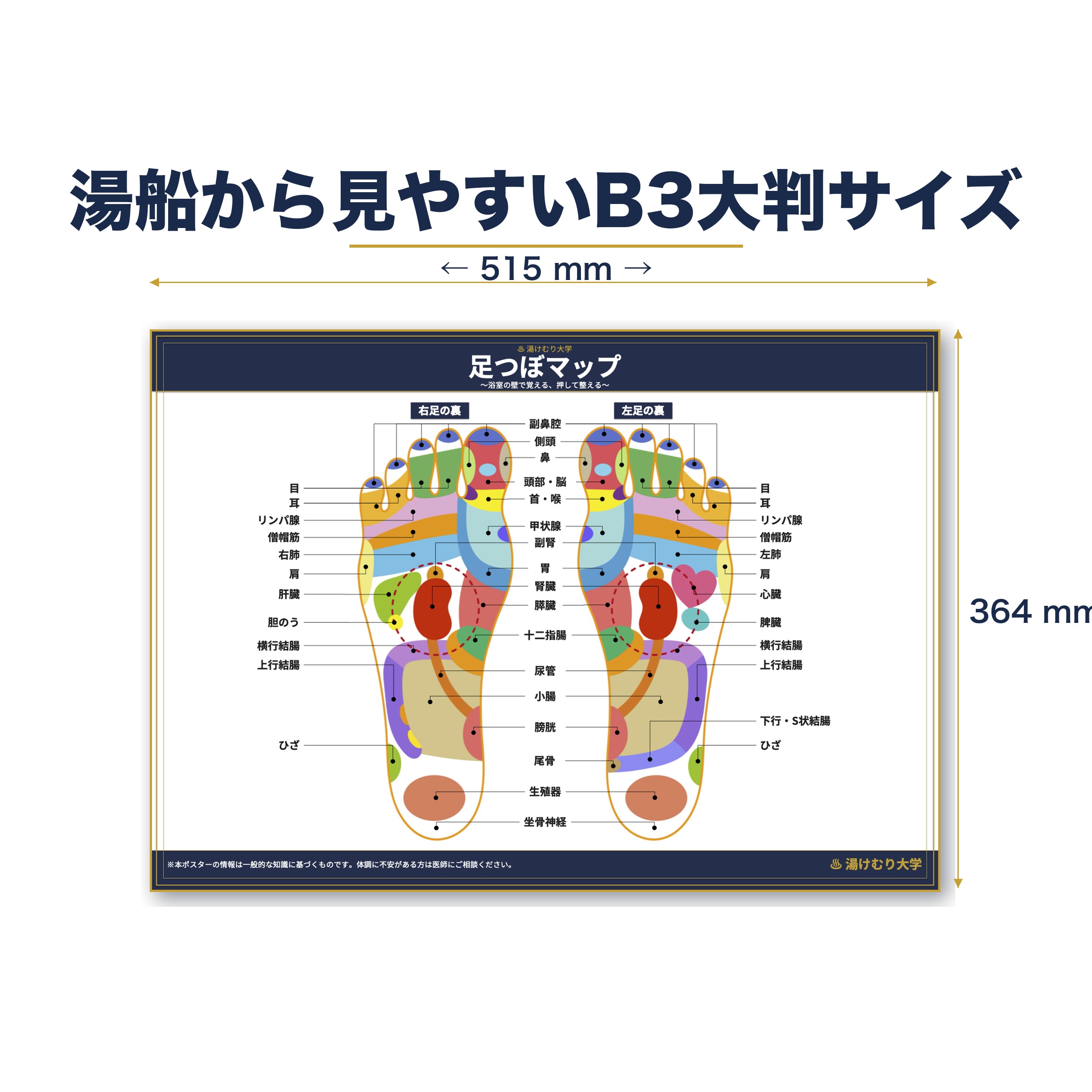 B3サイズのポスターをA4用紙と並べたサイズ比較写真